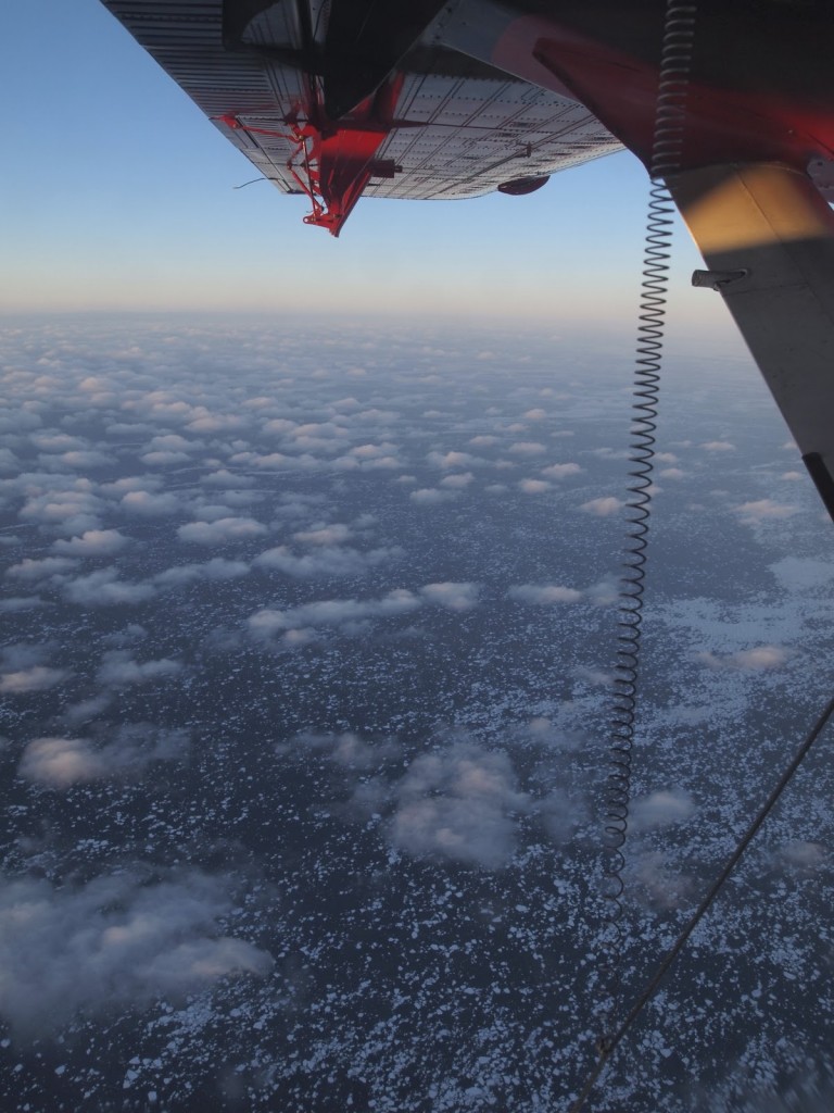 P2115317.jpg