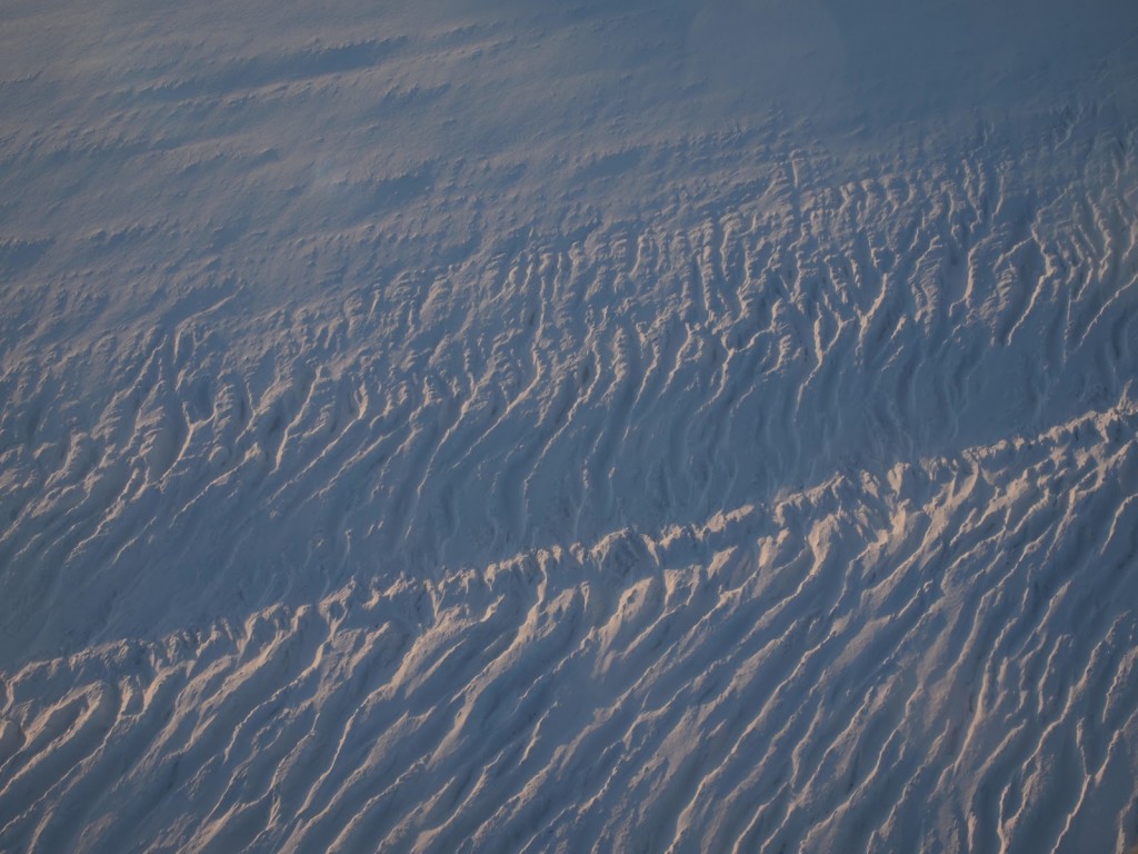 P2115490.JPG