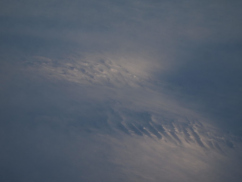 P2115514.JPG